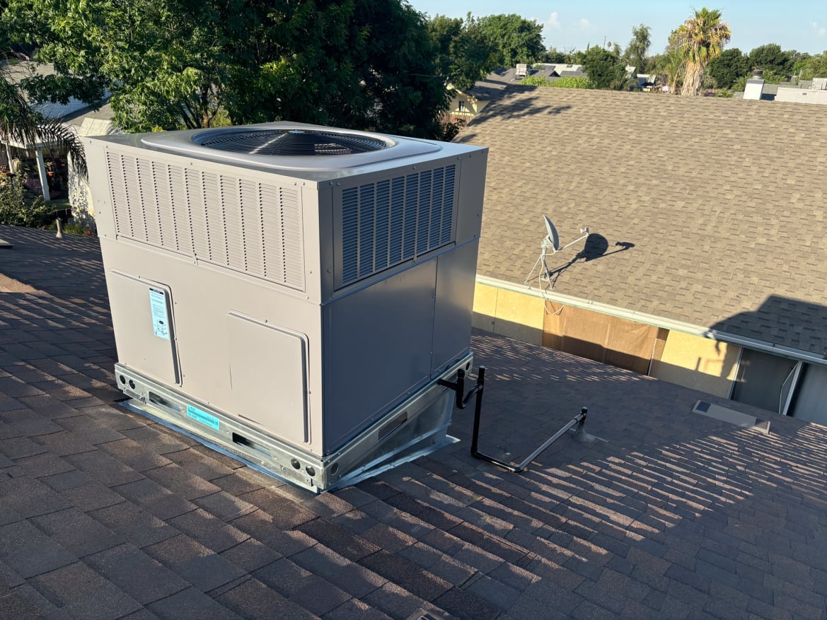 Professional air filter replacement and system cleaning.